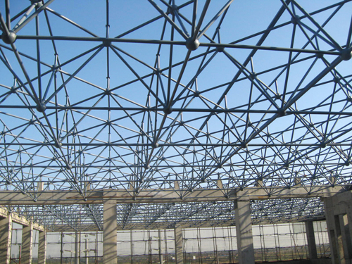 滨海高新区国际交流中心项目钢网架屋面工程